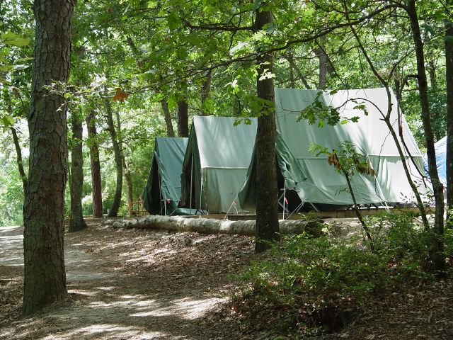 Photo credit: Ken Whitley.